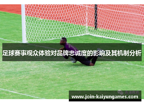 足球赛事观众体验对品牌忠诚度的影响及其机制分析